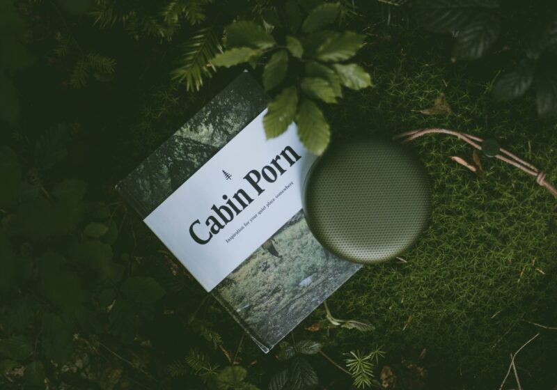Cabin Porn beside Google Home Mini speaker
