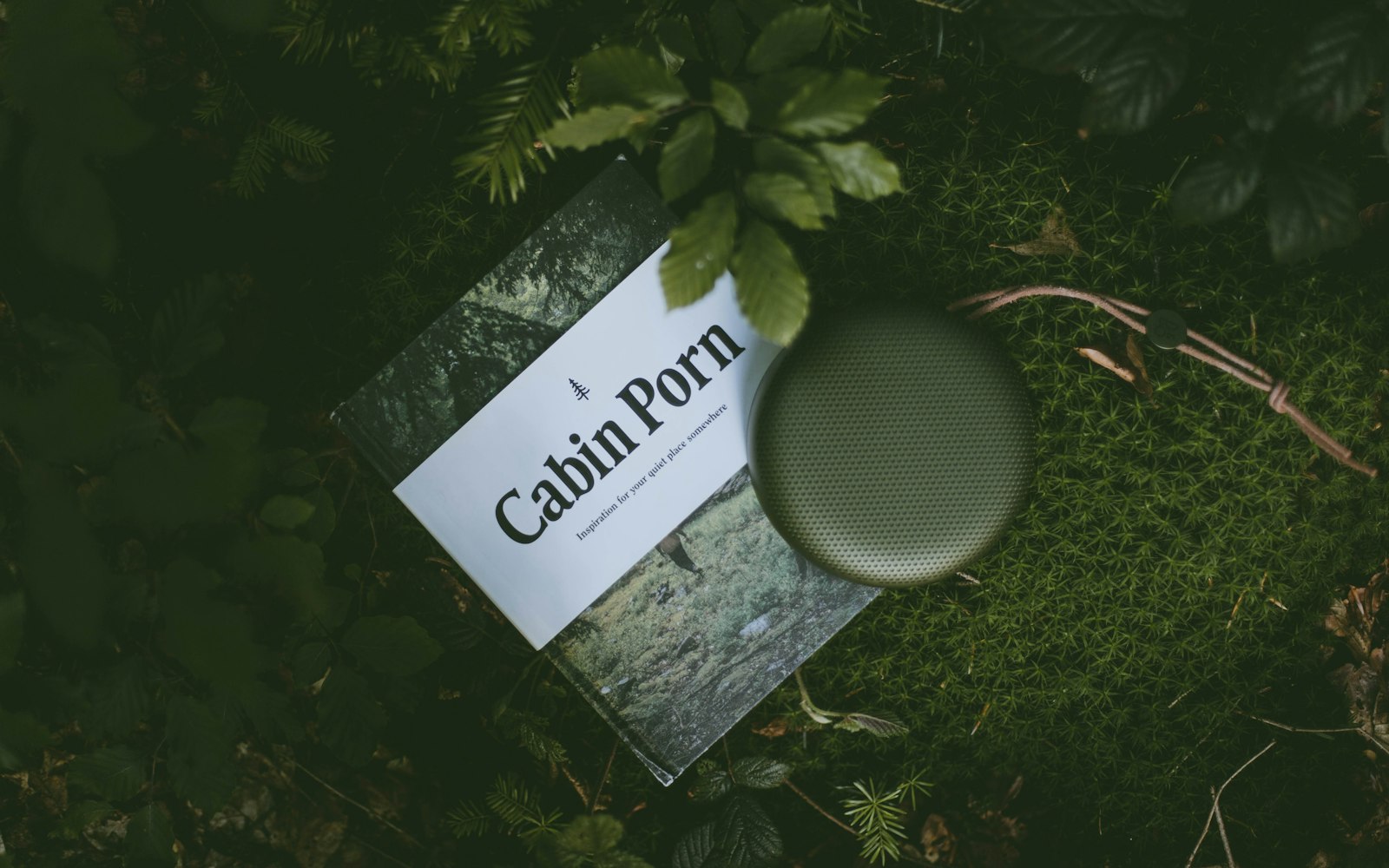 Cabin Porn beside Google Home Mini speaker