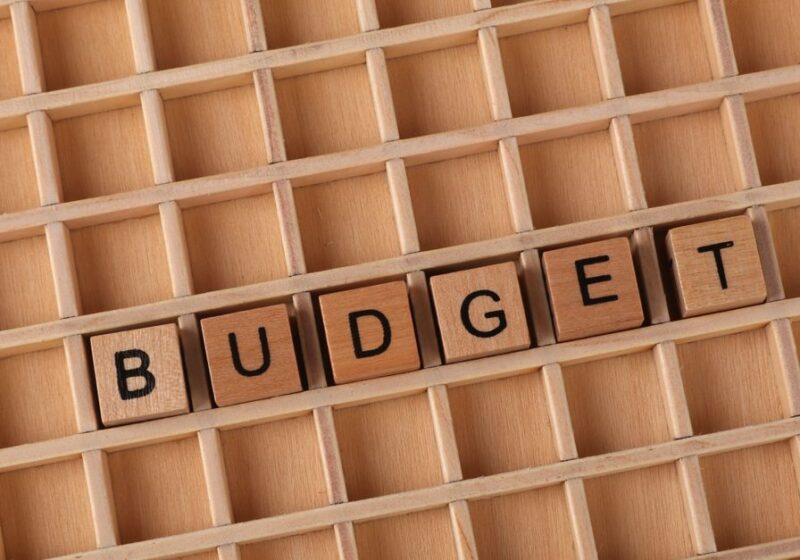 Wooden letter tiles spelling 'budget' on a wooden grid background, symbolizing finance and planning.